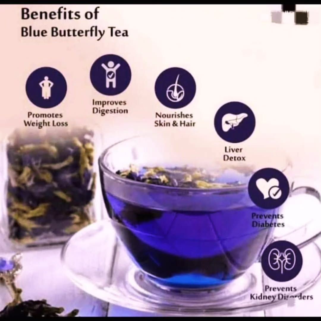 blue butterfly tea