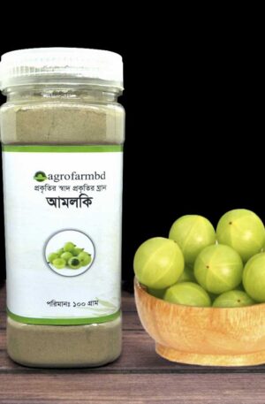 Amloki powder আমলকী 100 গ্রাম