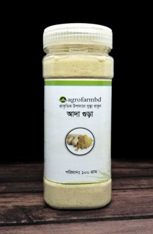আদা গুড়ো Ginger (Ada) Powder 100 gm চায়না আদা