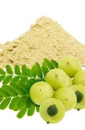 আমলকি পাওডার - ১০০ গ্রাম