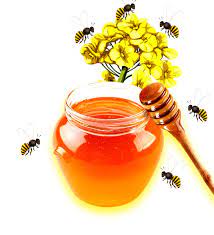 সরিষা ফুলের মধু ২ কেজি (Mustard Flower Honey 2kg)